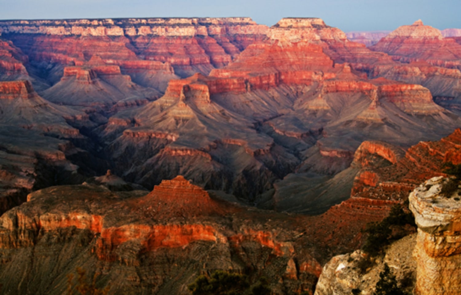 GRAND CANYON No.350( HC付き) World's most amazing views